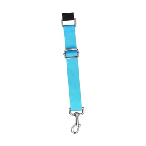 ＡＷＨＡＯ Haustierhundpfleger Arm Extender Groomer Helfer Hundepfeiler Leinenschleife Extender für Haustierbaden, Blau von ＡＷＨＡＯ