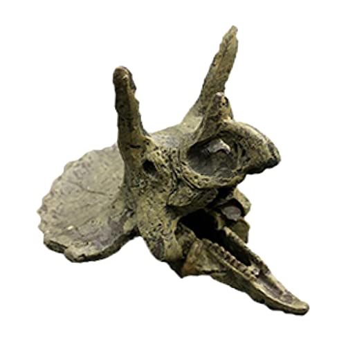 ＡＷＨＡＯ Kreative Tierkopfschädel Aquarium Dekoration, Dreieck Drachenschädel von ＡＷＨＡＯ