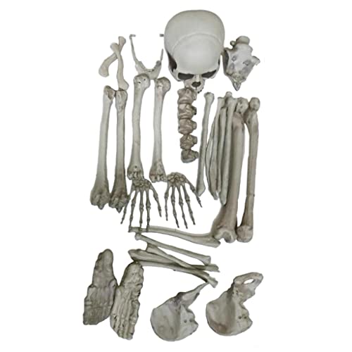 ＡＷＨＡＯ Kreative Tierkopfschädel Aquarium Dekoration, Skelett von ＡＷＨＡＯ