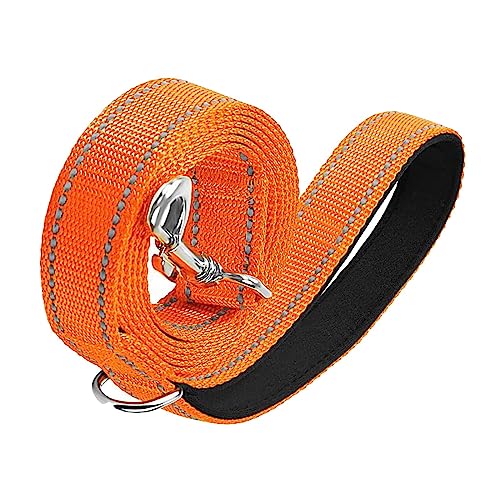 ＡＷＨＡＯ Nachtreflektierende Nylon Hundeleine für Haustiere, DREI Größen für Große, Mittelgroße Und Kleine Hunde, Katzen, Hunde, Gehtraining, Orange von ＡＷＨＡＯ