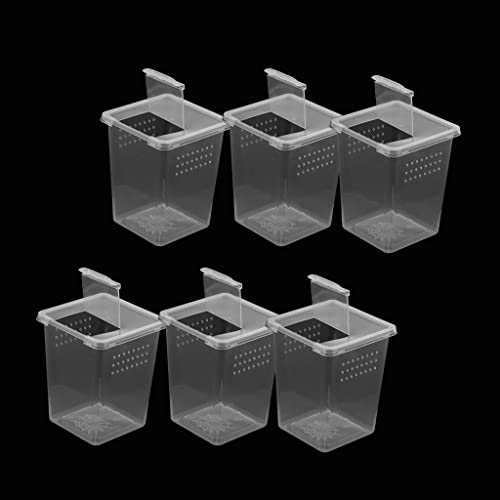 ＡＷＨＡＯ Spinnenzuchtbox Container Hülle Schlupfbehälter 8x8x11cm, 6St von ＡＷＨＡＯ