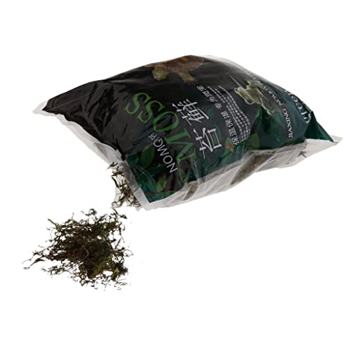 ＡＷＨＡＯ Terrarium Bedding für Tortoise Dragon Gecko, 1000g von ＡＷＨＡＯ