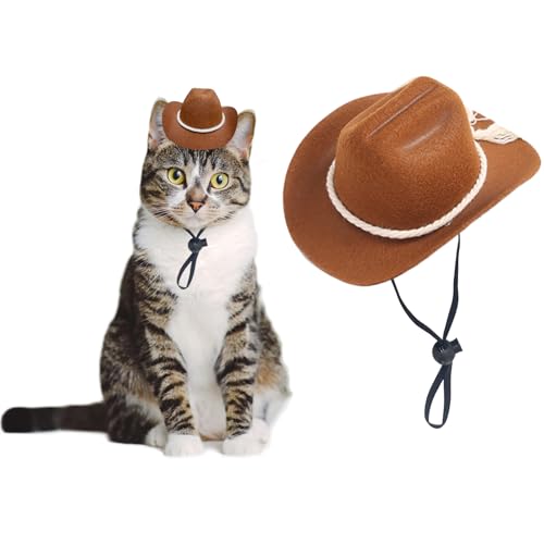 AWOCAN Cowboyhut für Hunde, Katzen, Cowboyhut, Mini-Cowboyhut für Hunde, Katzen, Urlaub, Halloween, Haustier-Party-Dekoration (braun-style3, klein) von AWOCAN