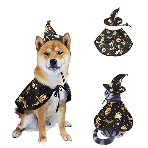 AWOCAN Haustier Halloween Hund Katze Kostüm Umhang Hexe Umhang Hexe Hut Kostüm für Katzen und kleine Hunde Halloween Kleidung (M) von AWOCAN