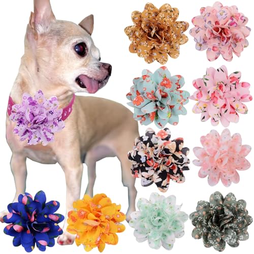 AWOCAN Hundehalsband Bögen Abnehmbare Blumen Schleife Halsband Katze Blumen Halsband Charms Bogen Haustier Kostüm Dress up Supplies für Hochzeit Geburtstag Party (A) von AWOCAN