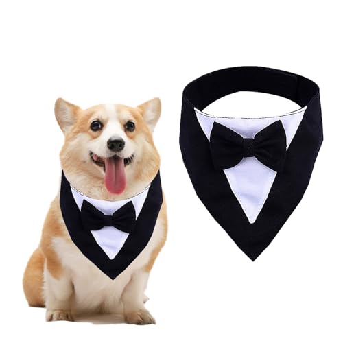 AWOCAN Hundehalstuch für Hochzeit, Verlobung und Geburtstag, formelles Hundehalstuch, Kostüm, verstellbar, mit Fliege, Halsband, Bandana, Schwarz, Größe M AWOCAN Hundehalstuch für Hochzeit, Verlobung und Geburtstag, formelles Hundehalstuch, Kostüm, verstellbar, mit Fliege, Halsband, Bandana, Schwarz, Größe M von AWOCAN