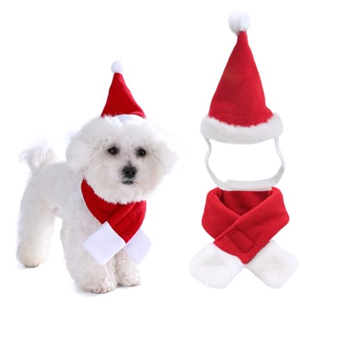 AWOCAN Katze Santa Hut Schal Xmas Hut Xmas Outfit mit rotem Schalldämpfer, Haustier Kleiner Hund Weihnachtskostüm (M) von AWOCAN