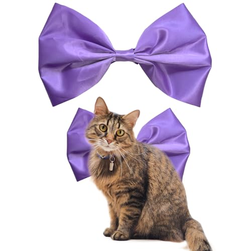 AWOCAN Katzenhalsband, große Schleife, Kätzchen, Cosplay, Dekoration, Traumkatze, verstellbar, Satin, niedlich, Breakaway, Katzenhalsbänder für Geburtstagsparty (Violett-1) von AWOCAN