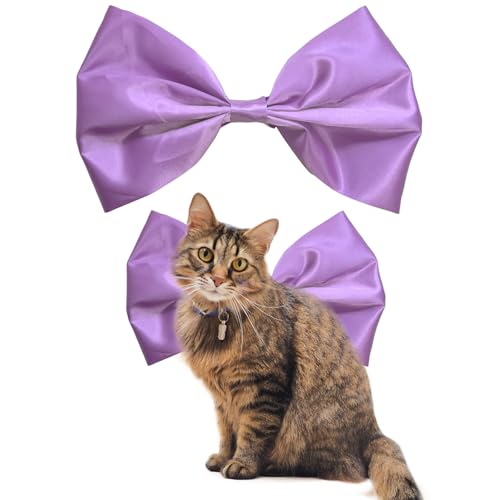 AWOCAN Katzenhalsband, große Schleife, Kätzchen, Cosplay, Dekoration, Traumkatze, verstellbar, Satin, niedlich, Breakaway, Katzenhalsbänder für Geburtstagsparty (Violett-2) von AWOCAN