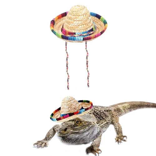 AWOCAN Sombrero-Hüte für Hamster, Gecko, Frettchen, Meerschweinchen, Cinco de Mayo, Strohhut mit verstellbarem Kinnriemen, mexikanisches Kostüm-Zubehör für kleine Haustiere, Farbe A AWOCAN Sombrero-Hüte für Hamster, Gecko, Frettchen, Meerschweinchen, Cinco de Mayo, Strohhut mit verstellbarem Kinnriemen, mexikanisches Kostüm-Zubehör für kleine Haustiere, Farbe A von AWOCAN