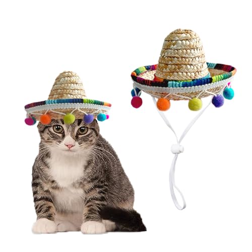 AWOCAN Sombrero für Katzen, Strohhut für Katzen, Mini-Sombrero für Katzen, Welpen, kleine Hunde, Party/Geburtstag/Foto (mehrfarbig) von AWOCAN