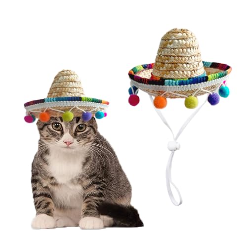 AWOCAN Sombrero für Katzen, Strohhut für Welpen und Kleine Hunde - Party/Geburtstag/Foto (Mehrfarbig) von AWOCAN