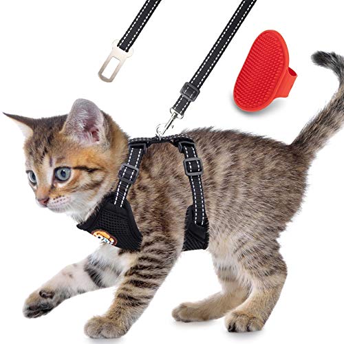 AWOOF Reflektierendes Kätzchengeschirr und Leine, ausbruchsicher, mit Auto-Sicherheitsgurt, verstellbare Jacke für Katzen und Welpen, mit Metall-Leinenring, weich, atmungsaktiv, für kleine Haustiere AWOOF Reflektierendes Kätzchengeschirr und Leine, ausbruchsicher, mit Auto-Sicherheitsgurt, verstellbare Jacke für Katzen und Welpen, mit Metall-Leinenring, weich, atmungsaktiv, für kleine Haustiere von AWOOF
