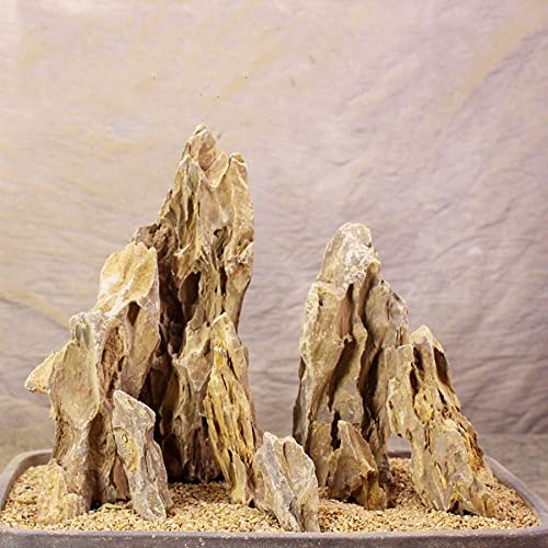 AWXZOM Natürlicher Drachenfelsen, sorgfältig ausgewählte gemischte Größen, dekorative Aquariumsteine, Aquariumsteine für Aquarien, 2 kg von AWXZOM