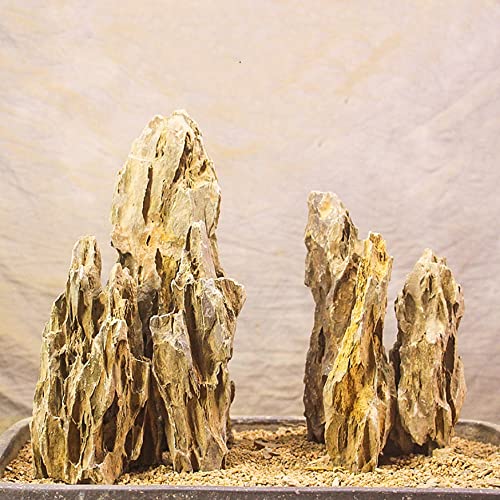 AWXZOM 2,0 kg + Naturdrachenstein Sorgfältig ausgewählte gemischte Größen Dekorative Aquarium Felsen Aquarium Steine für Aquarium von AWXZOM