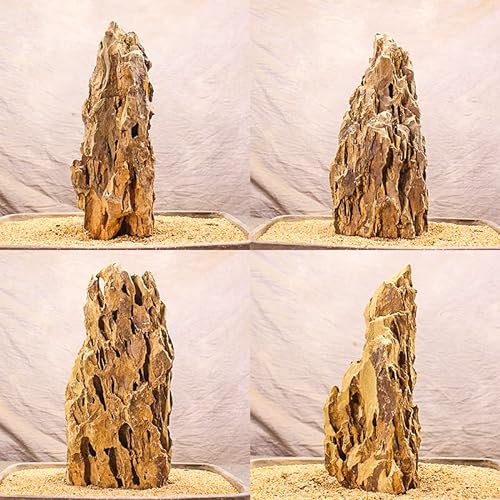 AWXZOM 3,2 kg + natürlicher Drachenfelsen, sorgfältig ausgewählte gemischte Größen, dekorative Aquarium-Steine, Aquarium-Steine für Aquarien (3,2 kg) von AWXZOM