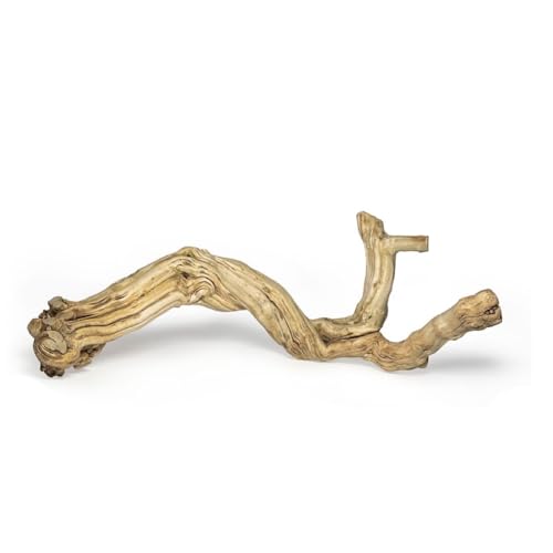 AWXZOM Großer Reptilienzweig, 38,1–43,2 cm Länge, sorgfältig ausgewählt und poliert für Reptilienkletterzweig, Weinrebenholz für Schlangen, Bartagamen, Gecko, Frosch, Chamäleon, Bartdrache, Zubehör AWXZOM Großer Reptilienzweig, 38,1–43,2 cm Länge, sorgfältig ausgewählt und poliert für Reptilienkletterzweig, Weinrebenholz für Schlangen, Bartagamen, Gecko, Frosch, Chamäleon, Bartdrache, Zubehör von AWXZOM