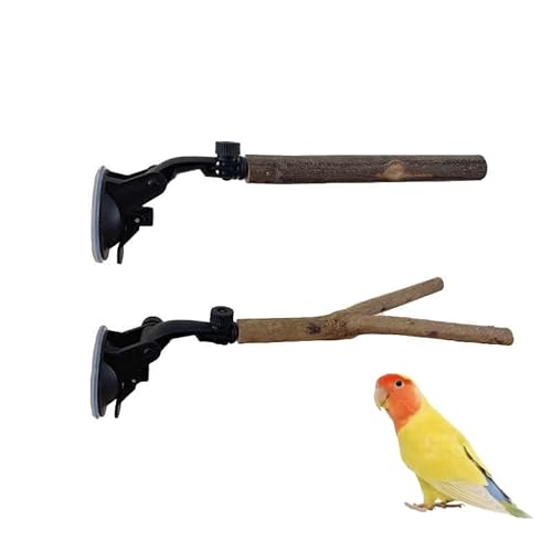 Papageien-Sitzstange mit Saugnapf, Fensterstange für Vögel, 15 cm für kleine Vögel, Vogelsitzstangen für Spiegelfenster, 2 Stück von AWXZOM