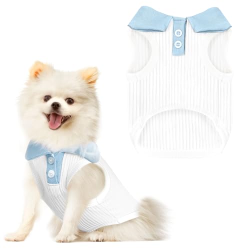 AXIIJGL Hunde-T-Shirts für kleine Hunde, dehnbar, atmungsaktiv, kühlende Weste, Sweatshirts, Mädchen, Jungen, Welpen, Dackel, Französische Bulldogge, Frenchie, Chihuahua, Haustierkleidung AXIIJGL Hunde-T-Shirts für kleine Hunde, dehnbar, atmungsaktiv, kühlende Weste, Sweatshirts, Mädchen, Jungen, Welpen, Dackel, Französische Bulldogge, Frenchie, Chihuahua, Haustierkleidung von AXIIJGL