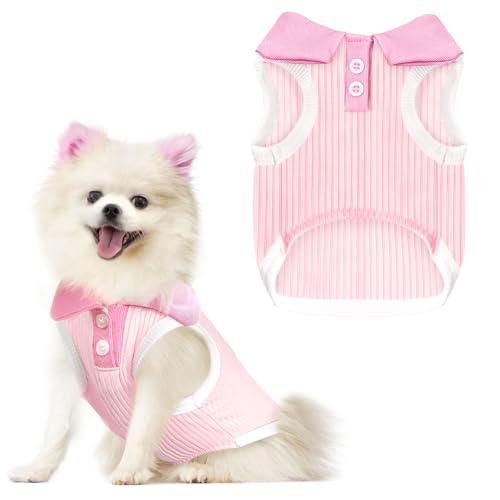 AXIIJGL Hunde-T-Shirts für kleine Hunde, dehnbar, atmungsaktiv, kühlende Weste, Sweatshirts, Mädchen, Jungen, Welpen, Dackel, Französische Bulldogge, Frenchie, Chihuahua, Haustierkleidung AXIIJGL Hunde-T-Shirts für kleine Hunde, dehnbar, atmungsaktiv, kühlende Weste, Sweatshirts, Mädchen, Jungen, Welpen, Dackel, Französische Bulldogge, Frenchie, Chihuahua, Haustierkleidung von AXIIJGL