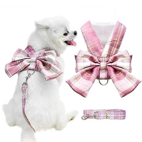 AXIIJGL Hundegeschirr für kleine Hunde mit Schleife, kleines Geschirr für Mädchen, mit D-Ring, weiches Netzgewebe, verstellbares Geschirr-Set, Welpengeschirr und Leine AXIIJGL Hundegeschirr für kleine Hunde mit Schleife, kleines Geschirr für Mädchen, mit D-Ring, weiches Netzgewebe, verstellbares Geschirr-Set, Welpengeschirr und Leine von AXIIJGL