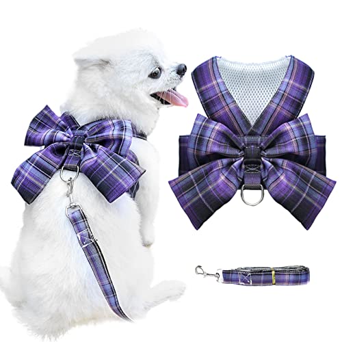 AXIIJGL Hundegeschirr und Leine Set mit Zugband - Klassisches kariertes Geschirr und Leine mit D-Ring - auslaufsicheres weiches Netzgeschirr für Welpen und kleine Katzen AXIIJGL Hundegeschirr und Leine Set mit Zugband - Klassisches kariertes Geschirr und Leine mit D-Ring - auslaufsicheres weiches Netzgeschirr für Welpen und kleine Katzen von AXIIJGL