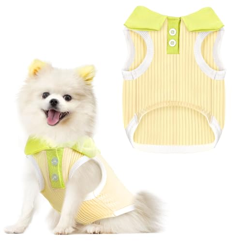 Hunde-Shirt Hunde-Shirt von AXIIJGL
