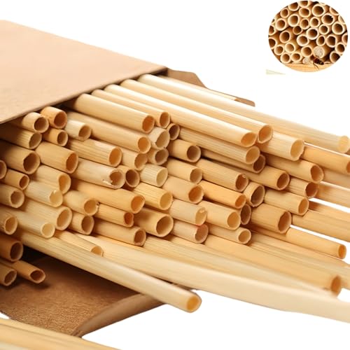 600 Stück Wildbienen Nisthülsen, 20cm Länge， Umweltfreundliche Bambus-Röhren Füllmaterial ， Nachfüllpackung für Insektenhotel Solitärinsekten，Naturschutz Garten von AXOBOG