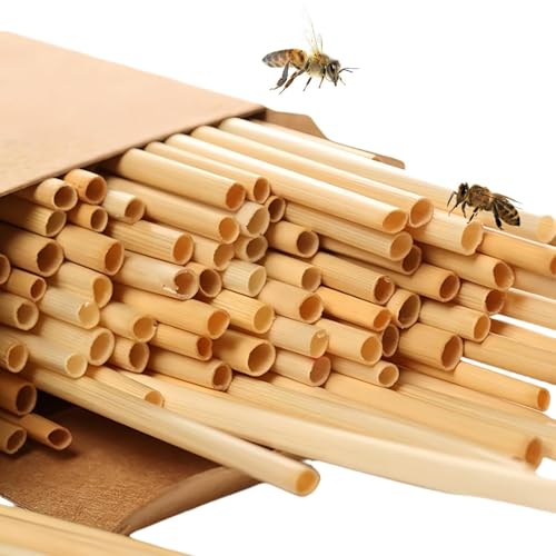 500 Stück 20 cm lange Nisthülsen für Insektenhotel & Wildbienen | Natürliches Weizenstiel Füllmaterial | Unverzichtbar für Bienenhotel Nisten und Wildbienen Zubehör | Umweltfreundliche & langlebige 500 Stück 20 cm lange Nisthülsen für Insektenhotel & Wildbienen | Natürliches Weizenstiel Füllmaterial | Unverzichtbar für Bienenhotel Nisten und Wildbienen Zubehör | Umweltfreundliche & langlebige von AXOBOG