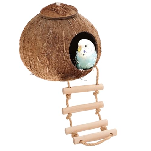 Handgefertigtes Vogelhaus aus Recycelter Kokosnussschale – Wetterfeste Vogelfutterstation im Leiterstil Nistkasten für kleine Vögel Reptilien und Gartenliebhaber von AXVRAV