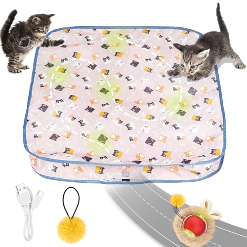AYESY Interaktives Katzenspielzeug, 2 in 1 Simuliertes Interaktives Jagdkatzenspielzeug Katzenspielzeugball mit Doppelschicht Jagdabdeckung Der Schnell Im Beutel Rollt Jagd Katzenspielzeug (Quadrat) von AYESY