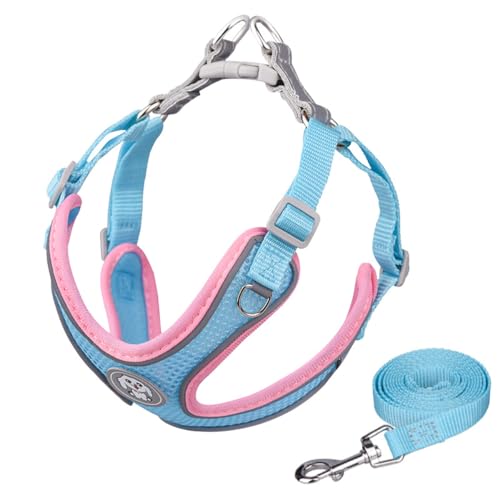 AYEXO Reflektierendes Nylon-Tragehalsband, atmungsaktiv, verstellbarer Brustgurt, reflektierend, für Katzen und Hunde, verstellbare Haustier-Tragetasche, atmungsaktive Haustierweste (Blau, Größe M) von AYEXO