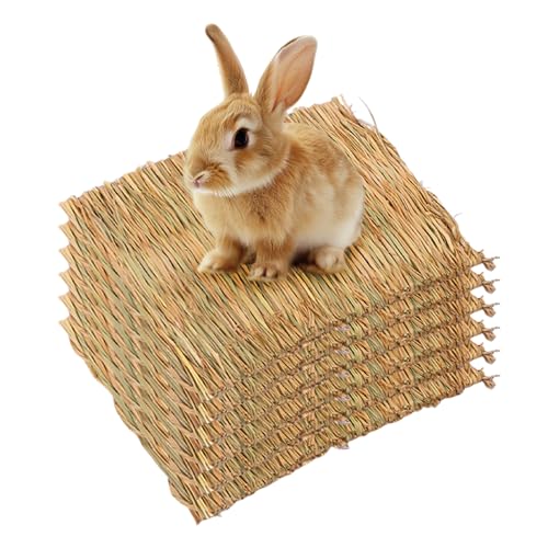 AYLIORUY Kaninchen-Grasmatten, 27,9 x 20,1 cm, natürlich, gewebt, Kaninchen, Bett, Käfig-Matte, Haustier-Bettwäsche, kühlendes Schlafen, Nistspielzeug für Hamster, Hasen, Chinchillas, Meerschweinchen, AYLIORUY Kaninchen-Grasmatten, 27,9 x 20,1 cm, natürlich, gewebt, Kaninchen, Bett, Käfig-Matte, Haustier-Bettwäsche, kühlendes Schlafen, Nistspielzeug für Hamster, Hasen, Chinchillas, Meerschweinchen, von AYLIORUY