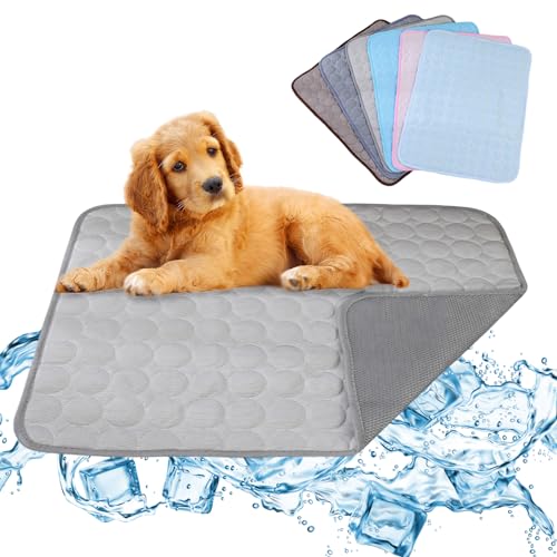AYLIORUY Kühlmatte für Hunde, selbstkühlende Decke, waschbar, Kühlkissen für Hunde, Haustier-Kühlmatte, hält Eisseide, wiederverwendbare Kühlmatte, Grau, M AYLIORUY Kühlmatte für Hunde, selbstkühlende Decke, waschbar, Kühlkissen für Hunde, Haustier-Kühlmatte, hält Eisseide, wiederverwendbare Kühlmatte, Grau, M von AYLIORUY