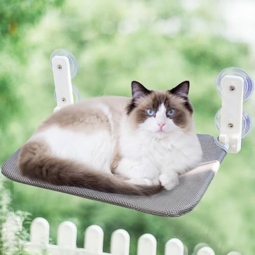 Faltbare Katzenfensterstange Kabellose Katzenfensterhängematte mit 4 Saugnäpfen Wendeabdeckung Stabiler Metallrahmen Katzenfensterbett für Katzen Fensterbank Beige Groß Faltbare Katzenfensterstange Kabellose Katzenfensterhängematte mit 4 Saugnäpfen Wendeabdeckung Stabiler Metallrahmen Katzenfensterbett für Katzen Fensterbank Beige Groß von AYLIORUY