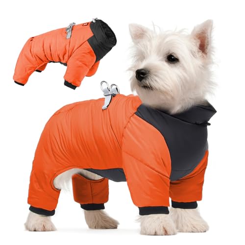 Hundemantel, wasserdichte Hundejacke für den Winter, warm, Ganzkörper-Hunde-Schneeanzug, gepolstert, Fleece, mit reflektierenden, winddichten Hundebekleidung für kleine Hunde, Orange, Größe S Hundemantel, wasserdichte Hundejacke für den Winter, warm, Ganzkörper-Hunde-Schneeanzug, gepolstert, Fleece, mit reflektierenden, winddichten Hundebekleidung für kleine Hunde, Orange, Größe S von AYLIORUY