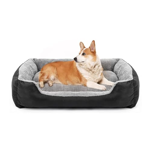 Orthopädisches Hundebett Memory für kleine Hunde, Schaumstoff-Eierkiste, wasserdichtes Haustierbett mit Seiten, rutschfeste Unterseite, Hunde-Couch-Bett mit waschbarem, abnehmbarem Bezug, Schwarz, M Orthopädisches Hundebett Memory für kleine Hunde, Schaumstoff-Eierkiste, wasserdichtes Haustierbett mit Seiten, rutschfeste Unterseite, Hunde-Couch-Bett mit waschbarem, abnehmbarem Bezug, Schwarz, M von AYLIORUY