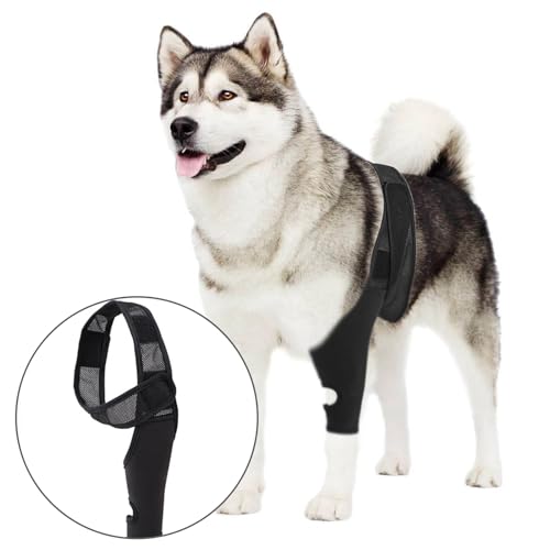 Verstellbare Hundekniebandage für gerissenes ACL Vorderes Hinterbein zur Unterstützung bei Kreuzbandverletzung Bessere Genesung mit Hundebeinbandbandbandagen für Vorderbein Hinterbein XL von AYLIORUY