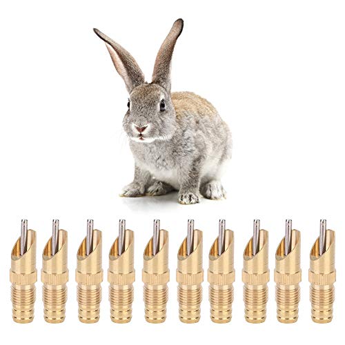 10 Stück Kaninchen-Wasser-Futterspender, Kaninchennippel-Trinker, 360-Grad-Wasser-Nippel-Trinker, Futterspender für Tier-Trinkwasser, Werkzeug mit Klemmplatte, kompatibel mit 8 mm Schlauch von AYNEFY