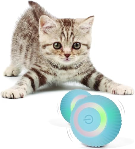AYNEFY Smart Interaktives Katzenspielzeug, Bissfeste Kontrollleuchte Elektrisches Automatisches Katzenspielzeug Ball Hindernisvermeidung für Zuhause für Katzen (Blau) von AYNEFY