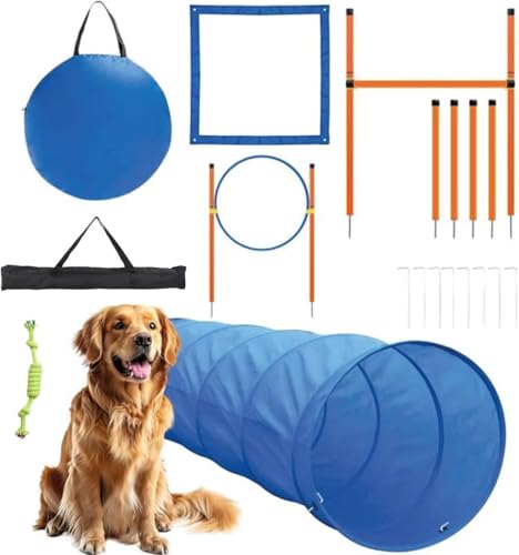 AYOO Agility für den Hund, Agility mit hundetunnel, Hunde Agility-Set, Hundetraining, Tunnel, Slalom, Hürde, Tragebeutel, Kostenloses Spielseil AYOO Agility für den Hund, Agility mit hundetunnel, Hunde Agility-Set, Hundetraining, Tunnel, Slalom, Hürde, Tragebeutel, Kostenloses Spielseil von AYOO