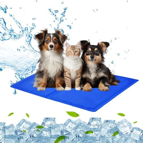 AYSOW Große Kühlmatte für Hunde,65 x 50 cm Selbstkühlende Hautiermatte,Sommer kältematte für Haustiere mit Ungiftiges Gel, Abwischbar, Kühlunterlage für Haustiere,Erfrischung für deinen Liebling,blau AYSOW Große Kühlmatte für Hunde,65 x 50 cm Selbstkühlende Hautiermatte,Sommer kältematte für Haustiere mit Ungiftiges Gel, Abwischbar, Kühlunterlage für Haustiere,Erfrischung für deinen Liebling,blau von AYSOW