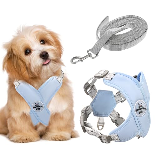 AYSYR Hundegeschirr Kleine Hunde,Hundegeschirr Welpen Reflektierende,Dog Harness Atmungsaktives,Brustgeschirr mit Leine Verstellbarer,Anti Zug Geschirr Verstellbare Leichtes (S, Blau) von AYSYR