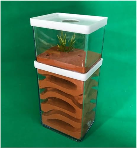 AYULYA Ameisenzuchtbox, Ameisenfarm, Ameisenfarm, Gips, Ameisennest, Ameisenhaus, Ameisenhaufen, Haustierwerkstatt, Haus zum Füttern von Ameisen, Geburtstagsgeschenk AYULYA Ameisenzuchtbox, Ameisenfarm, Ameisenfarm, Gips, Ameisennest, Ameisenhaus, Ameisenhaufen, Haustierwerkstatt, Haus zum Füttern von Ameisen, Geburtstagsgeschenk von AYULYA