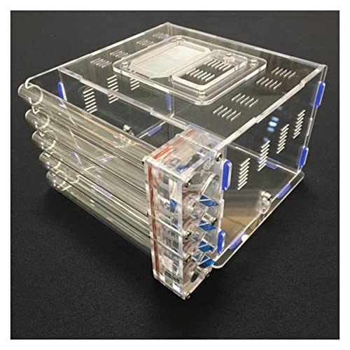 Ameisenzuchtbox, Ameisenfarm, DIY 5 Reagenzglas Ameisennest Acryl Ameisenfarm mit Futterplatz Ameisenhaus Schloss Formicarium Haustier Ameisenhaufen Werkstatt Villa Ameisenfutterbox Gemeinschaftszucht Ameisenzuchtbox, Ameisenfarm, DIY 5 Reagenzglas Ameisennest Acryl Ameisenfarm mit Futterplatz Ameisenhaus Schloss Formicarium Haustier Ameisenhaufen Werkstatt Villa Ameisenfutterbox Gemeinschaftszucht von AYULYA