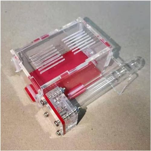 Ameisenzuchtbox, Ameisenfarm, Reagenzglas, Ameisennest, mit Futterplatzbox, kleine Ameisenfarm, Acryl, Ameisenvilla Pet Mania Ameisenhaufen Werkstatt Ameisenhaus Ameisenzuchtbox, Ameisenfarm, Reagenzglas, Ameisennest, mit Futterplatzbox, kleine Ameisenfarm, Acryl, Ameisenvilla Pet Mania Ameisenhaufen Werkstatt Ameisenhaus von AYULYA