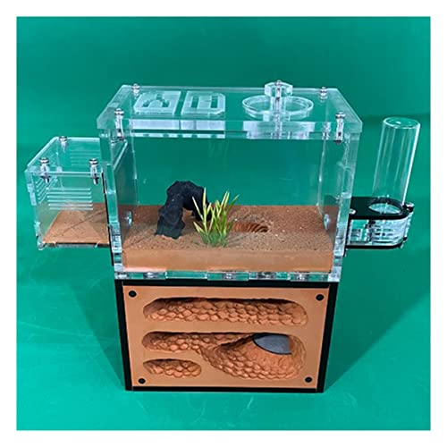 Ameisenzuchtbox, Ameisenfarm, unbegrenzte Erweiterung, Ameisennest, ökologische Ameisenfarm, gelber Schlamm, feuchtigkeitsspendend, Formicarium-Box, Ameisenhaus, Acryl, Insektenvilla Ameisenhütte, Ameisenzuchtbox, Ameisenfarm, unbegrenzte Erweiterung, Ameisennest, ökologische Ameisenfarm, gelber Schlamm, feuchtigkeitsspendend, Formicarium-Box, Ameisenhaus, Acryl, Insektenvilla Ameisenhütte, von AYULYA