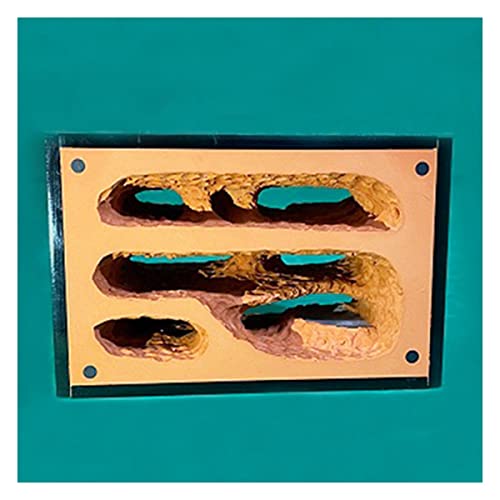 Ameisenzuchtbox, Ameisenfarm, unbegrenzte Erweiterung, Ameisennest, ökologische Ameisenfarm, gelber Schlamm, feuchtigkeitsspendend, Formicarium-Box, Ameisenhaus, Acryl, Insektenvilla Ameisenhütte, Ameisenzuchtbox, Ameisenfarm, unbegrenzte Erweiterung, Ameisennest, ökologische Ameisenfarm, gelber Schlamm, feuchtigkeitsspendend, Formicarium-Box, Ameisenhaus, Acryl, Insektenvilla Ameisenhütte, von AYULYA
