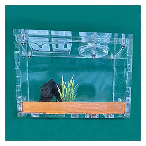 Ameisenzuchtbox, Ameisenfarm, unbegrenzte Erweiterung, Ameisennest, ökologische Ameisenfarm, gelber Schlamm, feuchtigkeitsspendend, Formicarium-Box, Ameisenhaus, Acryl, Insektenvilla Ameisenhütte, Ameisenzuchtbox, Ameisenfarm, unbegrenzte Erweiterung, Ameisennest, ökologische Ameisenfarm, gelber Schlamm, feuchtigkeitsspendend, Formicarium-Box, Ameisenhaus, Acryl, Insektenvilla Ameisenhütte, von AYULYA