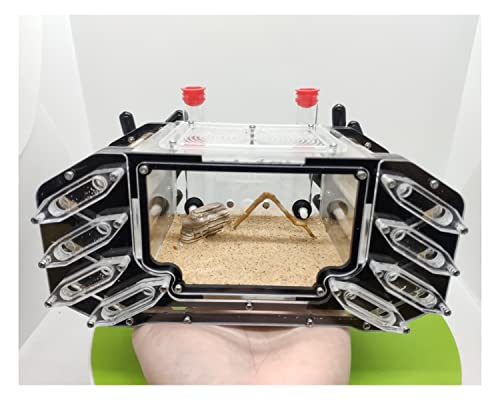 Ameisenzuchtbox, Ant Farm, 14 Stück Reagenzglashalter DIY Ant Farm Große Größe Rohr Unterstützung Ameisennest Acryl Ant House Pet Anthill Werkstatt Gips Ant Zucht Castle Werkzeug Zubehör Produkte ( von AYULYA